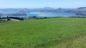 IT Systemhaus Berlin